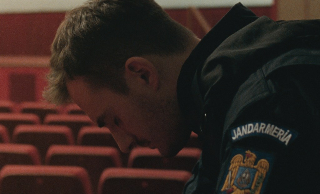 Poppy Field | Optimale Distribution