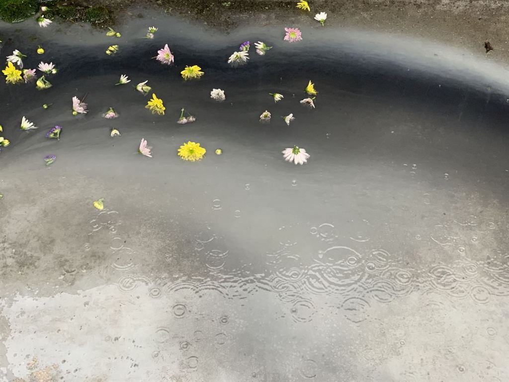 Irradiés | Copyright Les Acacias