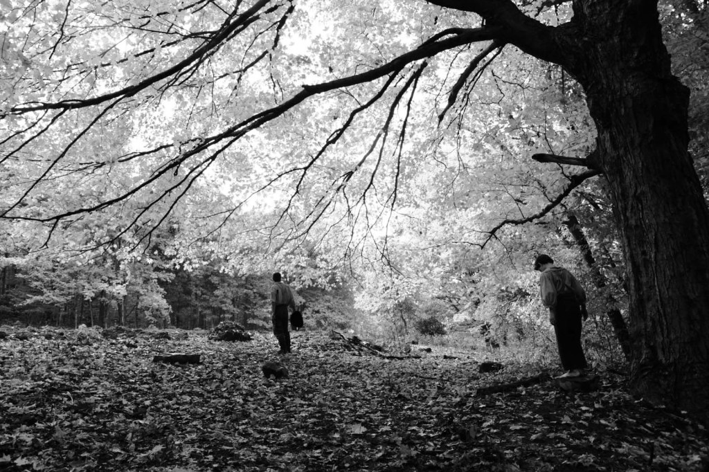 Sous l'aile des anges | Ed Distribution