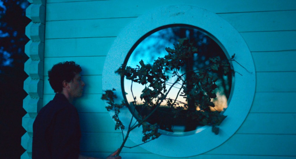 Paula | Arizona Distribution