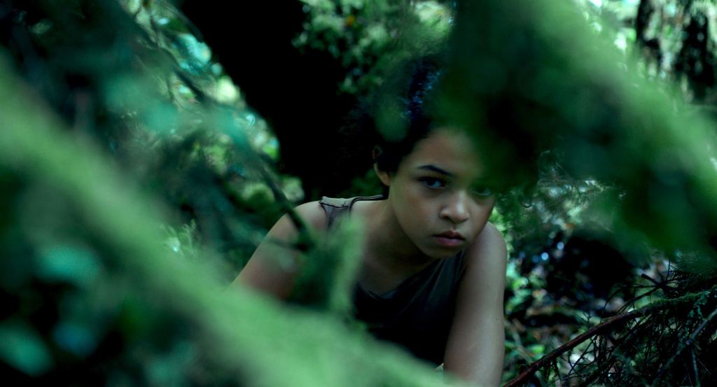 Paula | Arizona Distribution