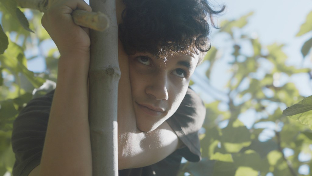 Sous les figues | Jour2Fête