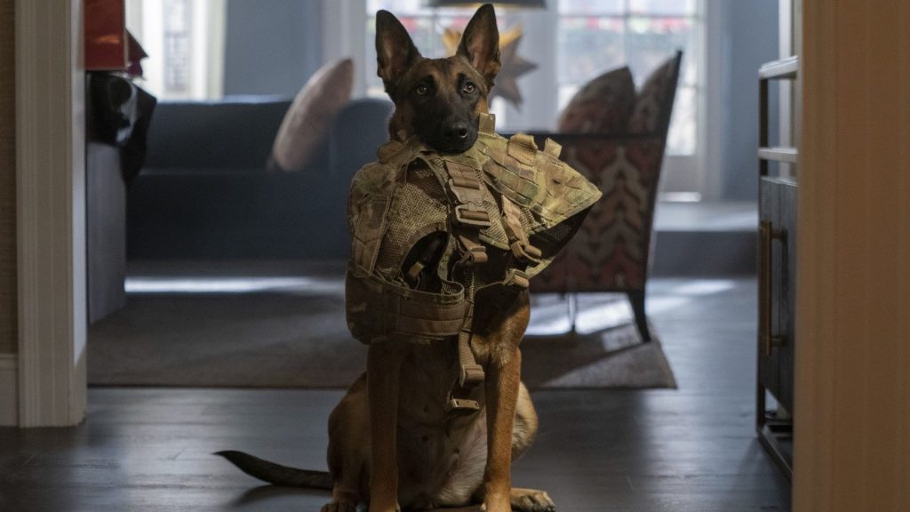 Dog | Amazon Prime Video