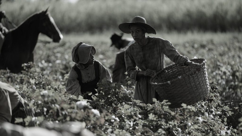 Emancipation | Apple Inc