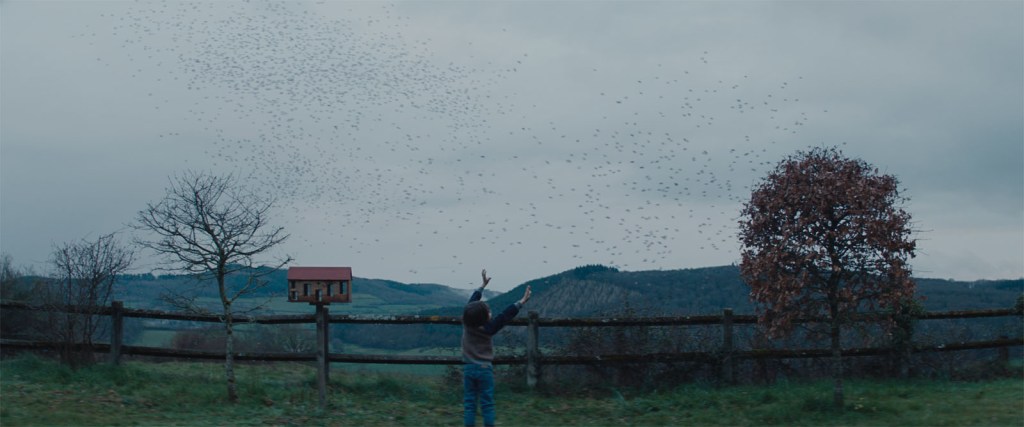 Ogre | The Jokers / Les Bookmakers