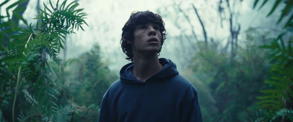 Le Règne animal | StudioCanal