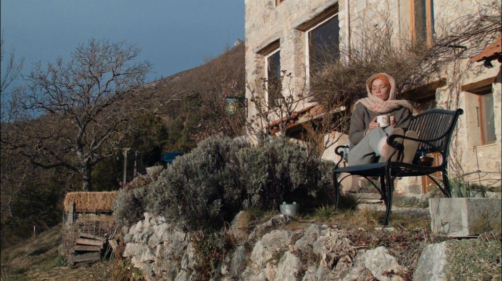 Là-haut perchés | Les Acacias