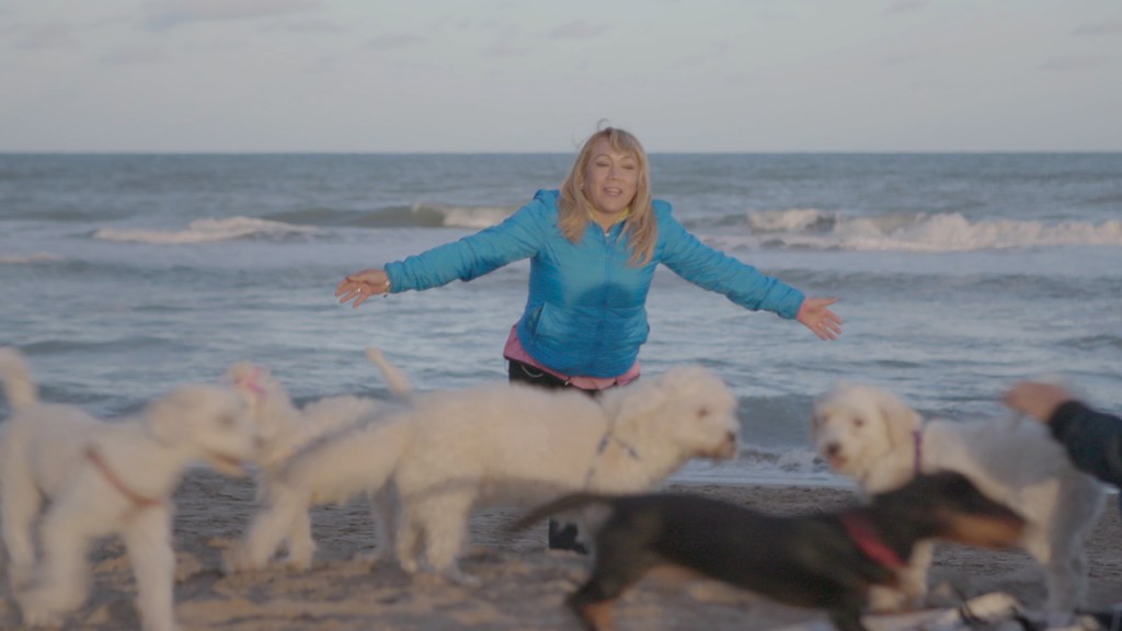 Nos corps sont vos champs de bataille | Dublin Films