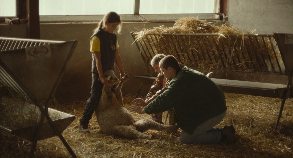 Jacky Caillou | Arizona Distribution