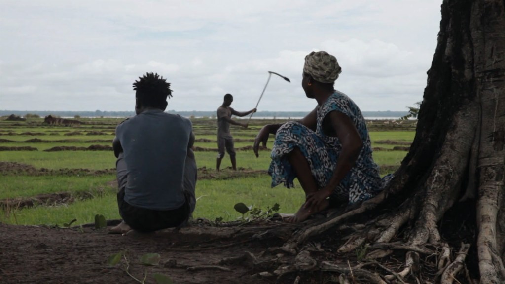 Tilo Koto  | Copyright La Vingt-Cinquième Heure 