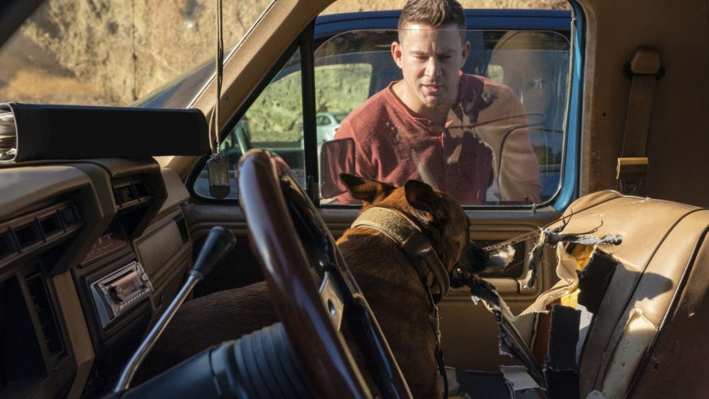 Dog | Amazon Prime Video