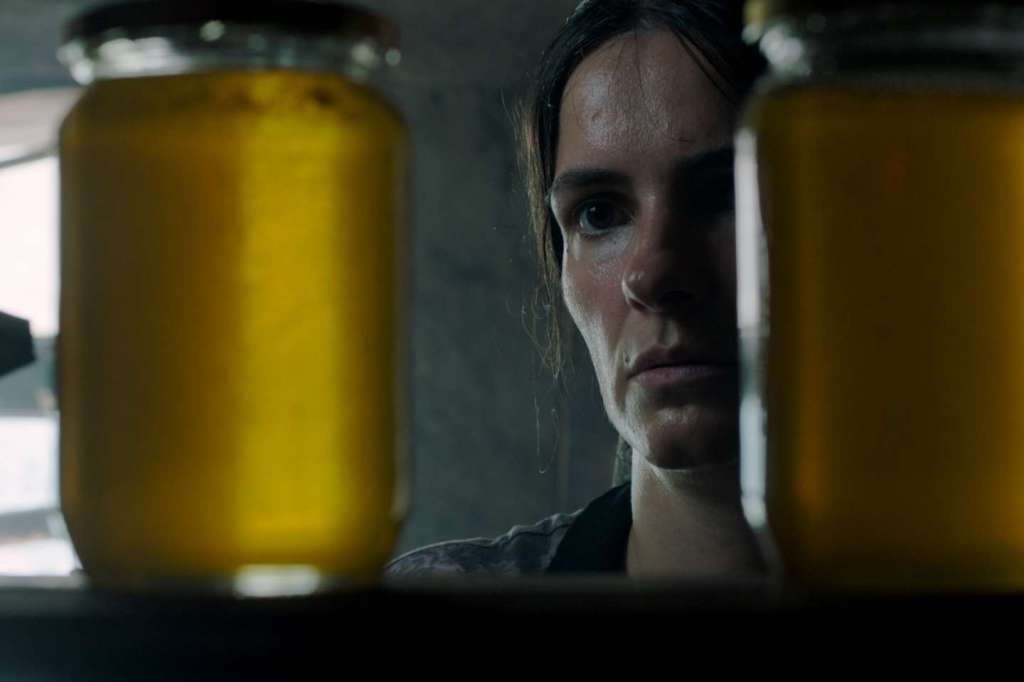 La Ruche | ASC Distribution