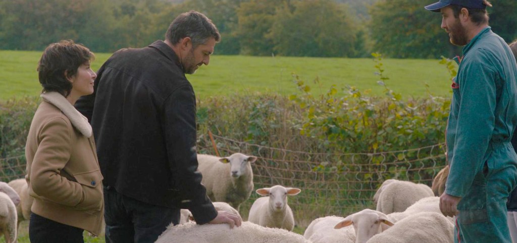 Tendre Et Saignant | Copyright Les Films du Cap - MM Films