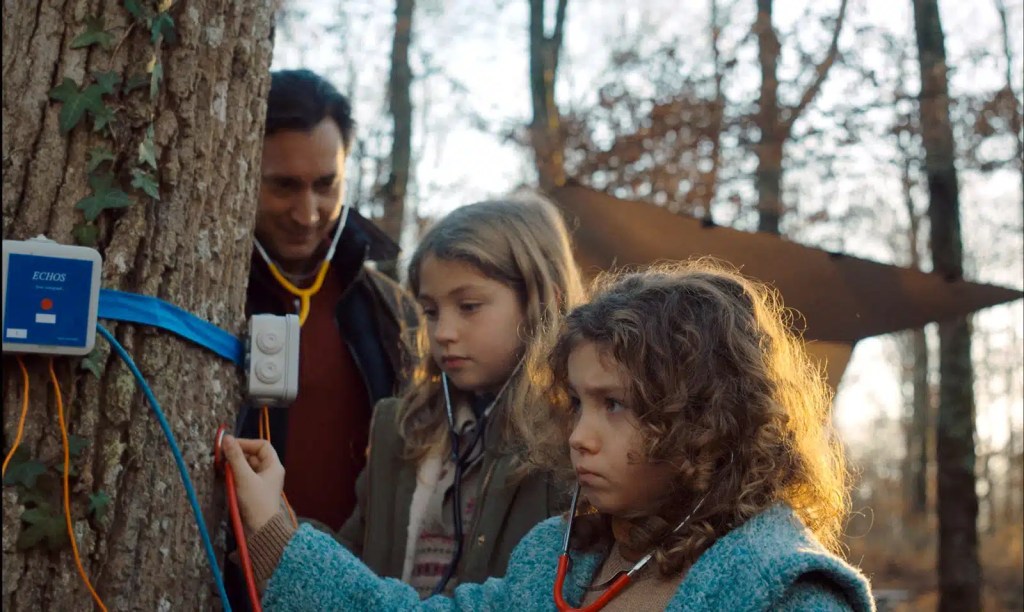 Toi non plus tu n'as rien vu | Jour2fête