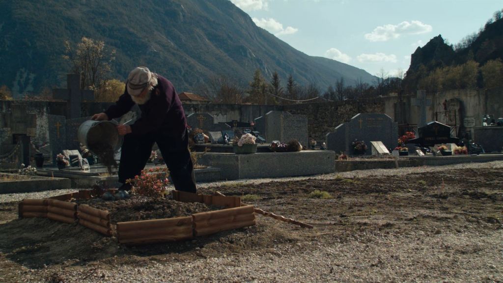 Là-haut perchés | Les Acacias