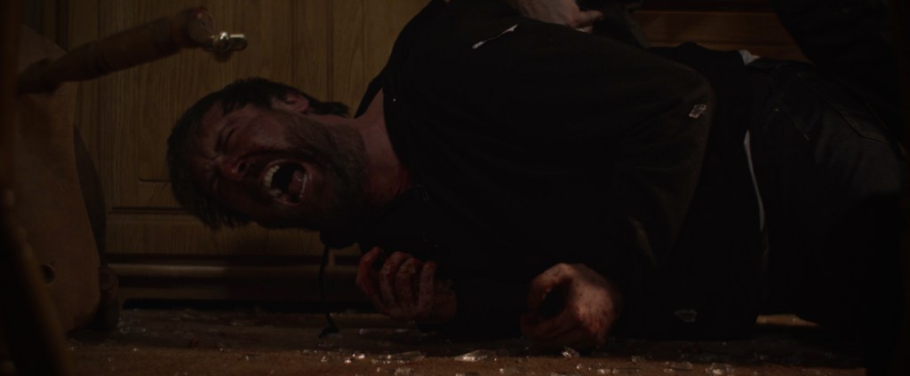 For the Sake of Vicious | Shadowz