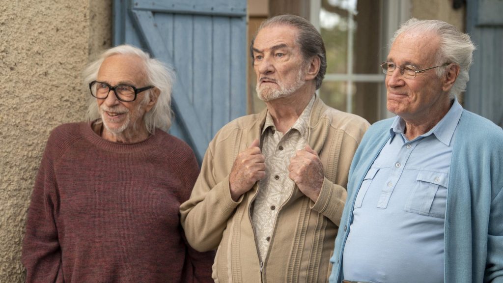 Les Vieux fourneaux 2 : bons pour l’asile |Apollo Films / Orange Studio