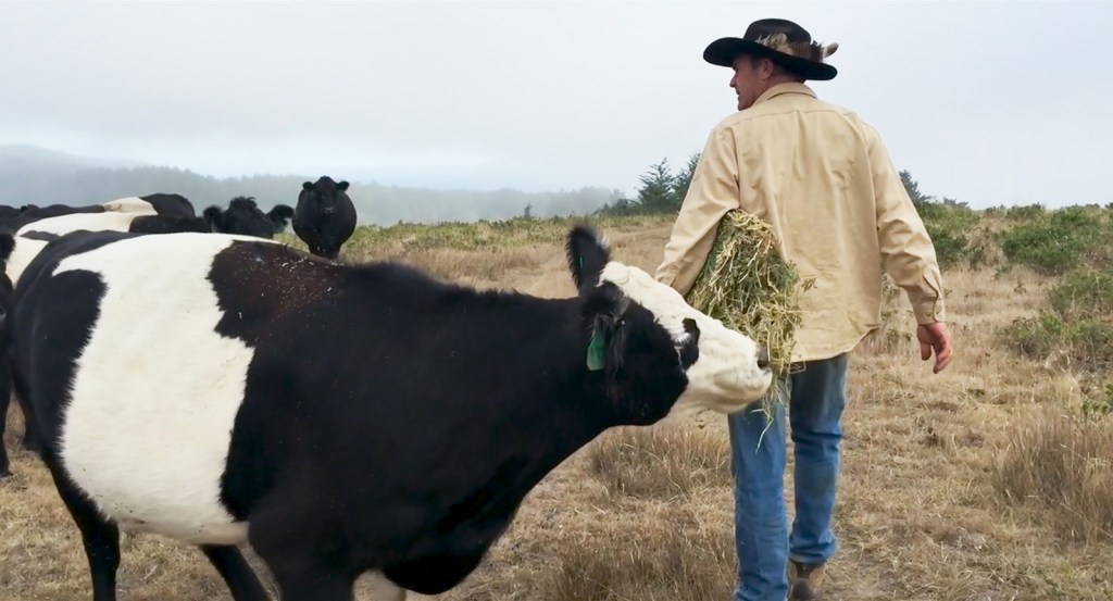 Mission régénération | Destiny Films