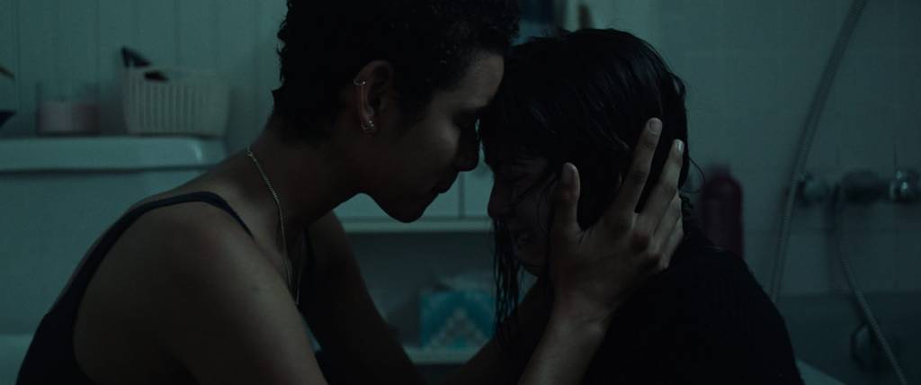 The Novice | Star Invest Films