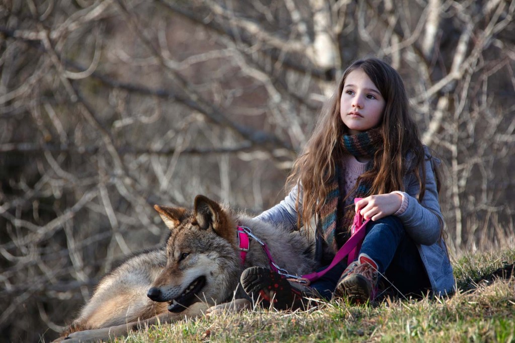 Mystère | Copyright RADAR FILMS - SOLAR ENTERTAINEMENT - GAUMONT - AUVERGNE-RHÔNE-ALPES CINÉMA