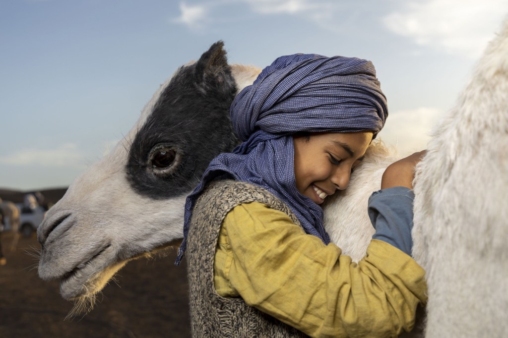 Zodi et Téhu, frères du désert | SND