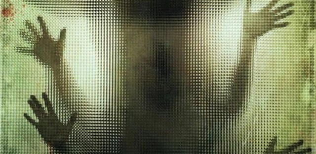 The Human Centipede (First Sequence)