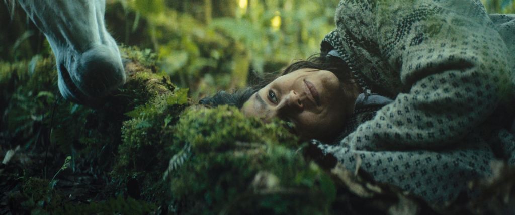 Clara Sola | Epicentre Films