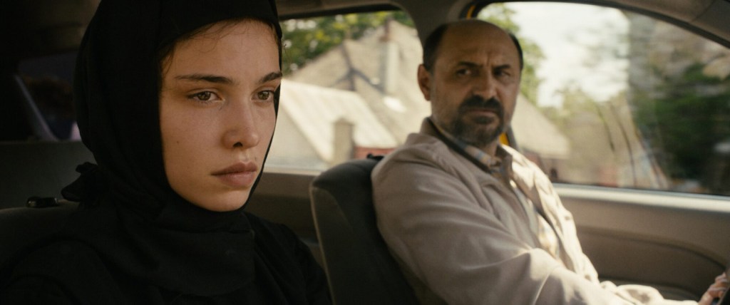 Dédales | Arizona Distribution