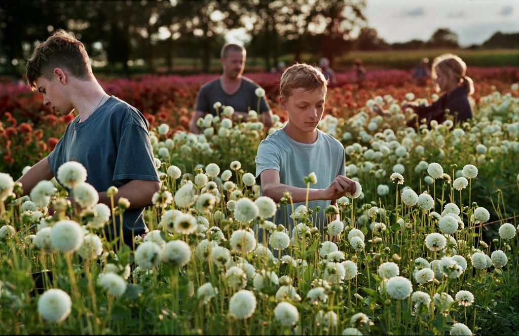 Close | Diaphana Distribution