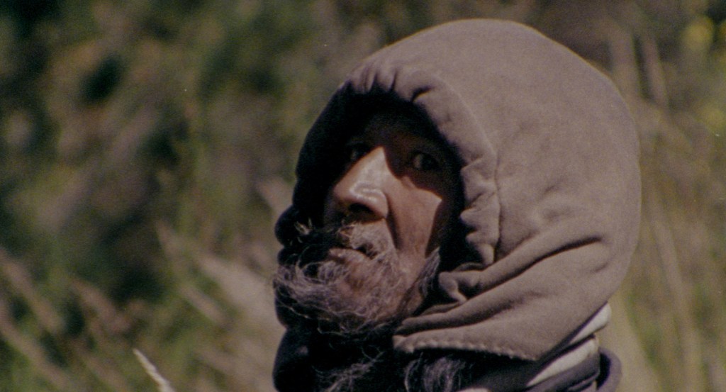 Le grand mouvement | Survivance