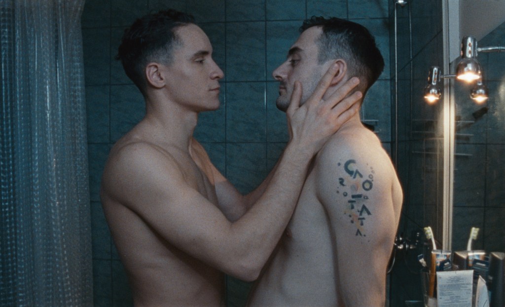 Poppy Field | Optimale Distribution